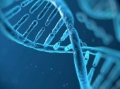 3-D компьютерную модель генома человека разработали ученые SISSA