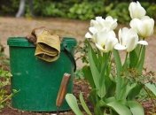 Лунный посевной календарь с 8 по 14 июля 2019 года