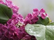 Прогноз погоды на выходные: дожди немного стихнут - в Украину идет потепление