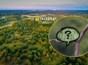 В Чернобыльском заповеднике живет подсоколик большой