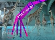 Дитячий та підлітковий короткий метр на #kisff2017