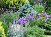 Ученые сделали сенсационное открытие о растениях