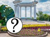 В центрі Полтави росте кабачок на тротуарі