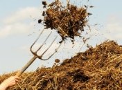 В Беларуси в качестве зарплаты будут выдавать навоз (но так повезет не всем)