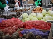 Украина значительно увеличила экспорт агропродукции