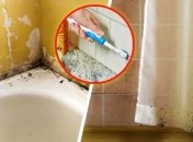 Поверхности ванной комнаты часто являются рассадником плесени