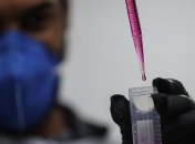 Российская вакцина от COVID-19: в Германии назвали препарат "экспериментом на людях с высоким риском"