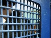 Житель Винницкой области задушил соседку из-за апельсина