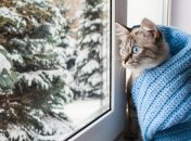 Лучше начать с самоутепления