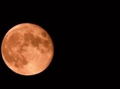 Первое полнолуние 2021 года: чего от него ожидать