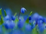 Прогноз погоды в Украине на 26 марта: потепление до +19