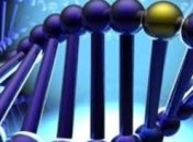 Стрессоустойчивость зависит от генов