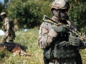 Силы АТО освобождают города Донбасса исключительно наземными силами