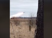 Українські захисники максимально точні у своєму "небесному полюванні"