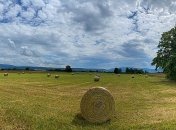 Жара отступает: на Украину надвигается холодный фронт с дождями и грозами 