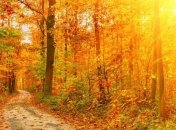 Прогноз погоды в Украине на 10 ноября: солнечно 