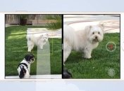 Камера iPhone 7 обеспечит качество съемки на уровне зеркальных фотоаппаратов