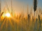 На западе грозы, на востоке и юге жара: прогноз погоды на 21 июля 