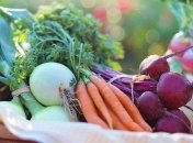 Названы продукты, которые сохраняют молодость