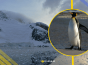 Ілюстративне фото