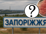 В Запорожье заметили солерос красный