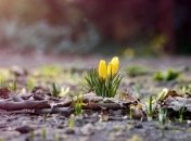 По-весеннему тепло: в Украине ожидается существенное потепление