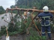 Сильный ураган в Черновцах сорвал кусок штукатурки с многоэтажки