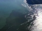 Каким токсическим веществом загрязнили побережье Камчатки: жуткое видео с воздуха