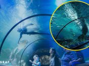 Незабываемые впечатления