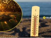 Які види риб страждають від спеки