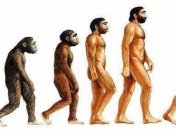 Ученые назвали новую теорию происхождения человека
