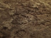 Регистрация договоров аренды земель на сегодня заблокирована