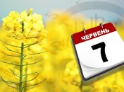 Обретіння глави Іоанна Предтечі: народні прикмети і заборони 7 червня