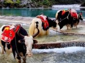 Удивительное рядом. Китай, который вы наверняка еще не видели (Фото) 