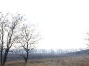 В Киеве зафиксировали новый температурный рекорд