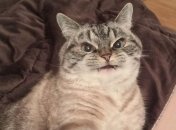 Скорпионы, Раки и Рыбы не оставят вам сил