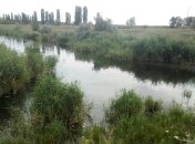 В Кировоградской области в реке массово гибнет рыба