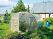 В теплице должна быть грамотная циркуляция воздуха, чтобы растения в ней не погибли