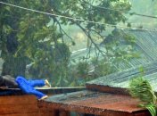 На востоке Грузии продолжает бушевать ураган 