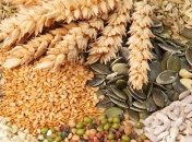 Україна - в десятці найбільших імпортерів насіння
