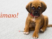 Прикольные пожелания поднимут настроение