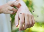 Через укусы комаров могут передаваться инфекции и опасные болезни