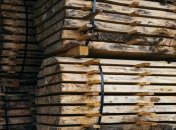 Гослес: ни одного разрешения на экспорт леса-кругляка мы не выдавали