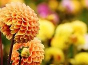 9 ноября – приметы и традиции в день памяти Нестора Летописца