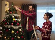 Существуют "правильные" даты для уборки елки