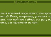 Все хорошее начинается с улыбки: вечерние анекдоты