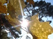 Тепло в Украину еще вернется  