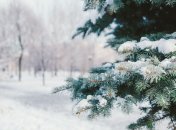 Яке сьогодні церковне свято 31 грудня 2024 року