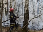 В Житомирской области новая угроза масштабного пожара