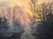 Рятувальники продовжують боротись із пожежами в Чорнобильській зоні (Відео)